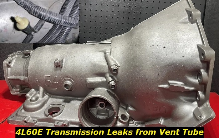 4l60e transmission leaks from vent tube